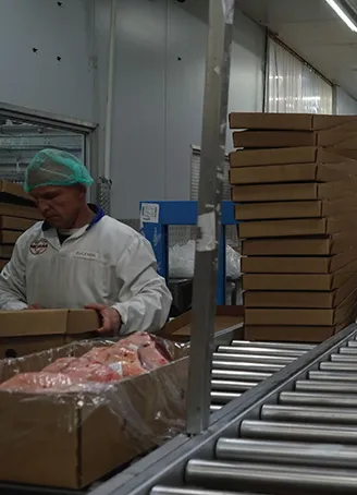 Packing the Qurbani meat and preparing it for transportation